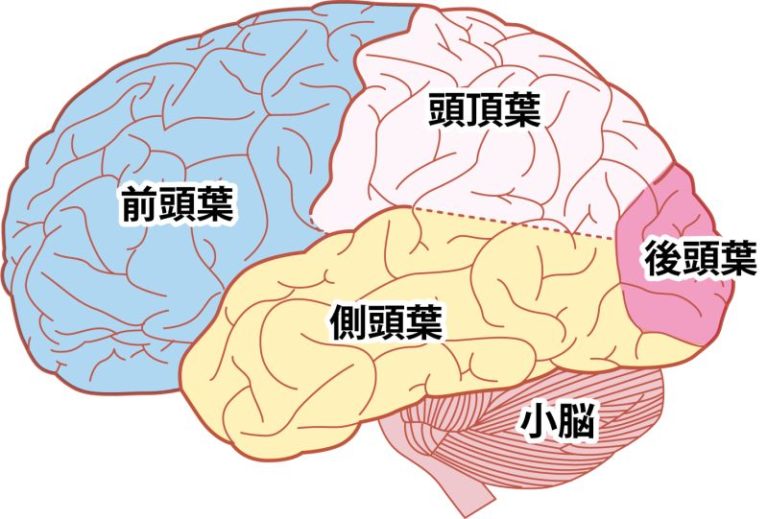 あの世と交信できたら 星々に見守られ